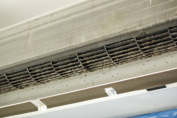 Best HVAC Air Duct Cleaning  in Madisonville, TN